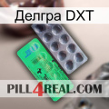 Делгра DXT new04